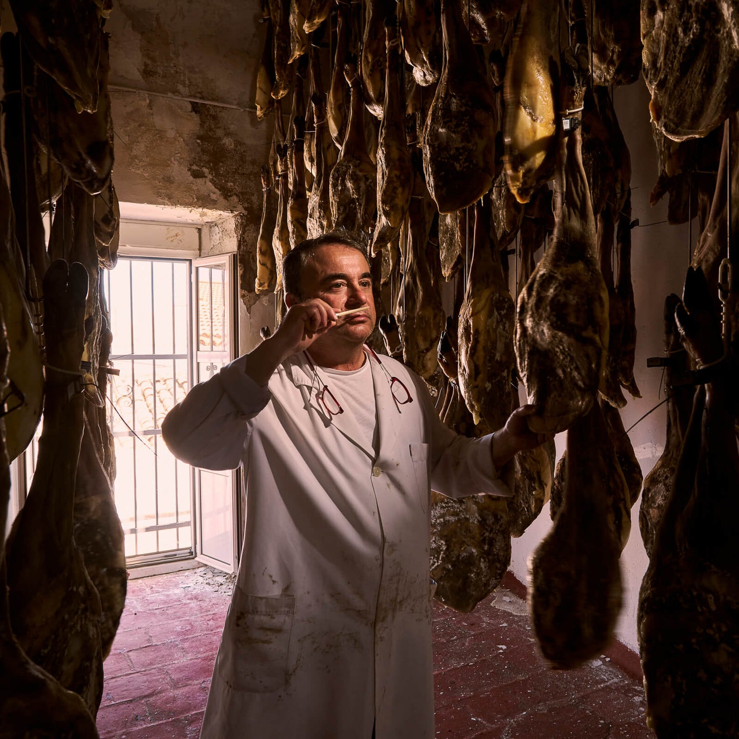 Jamón de Cebo de Campo 100% Ibérico